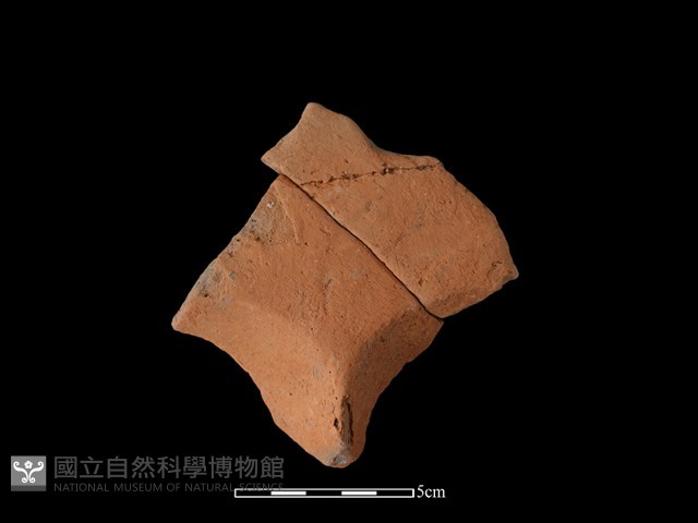 連杯形器藏品圖，第2張
