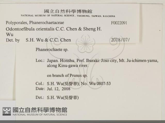 登錄號:F0022091藏品圖，第2張