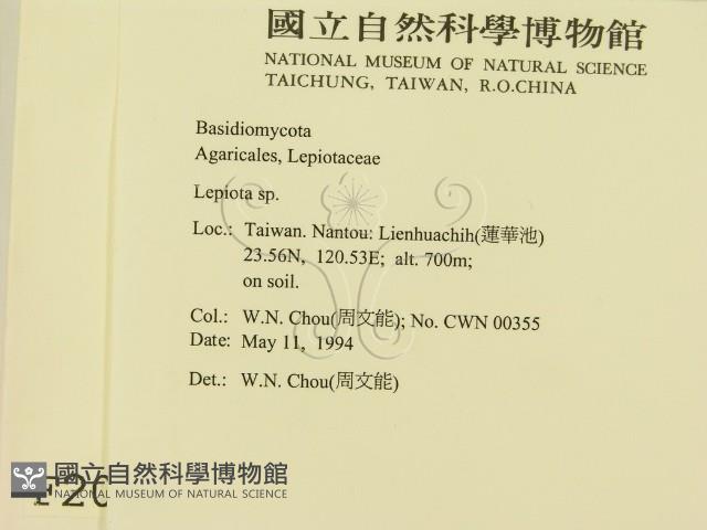 登錄號:F0002091藏品圖，第2張