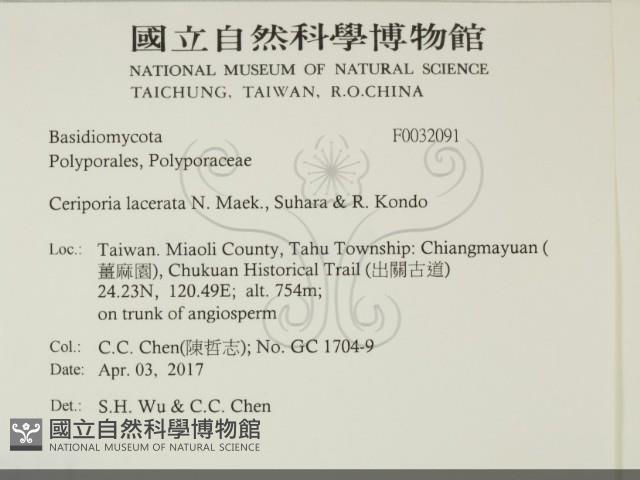 登錄號:F0032091藏品圖，第2張