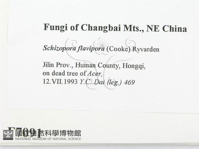 登錄號:F0007091藏品圖，第2張