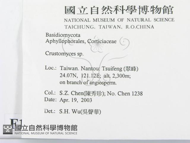 登錄號:F0015091藏品圖，第2張