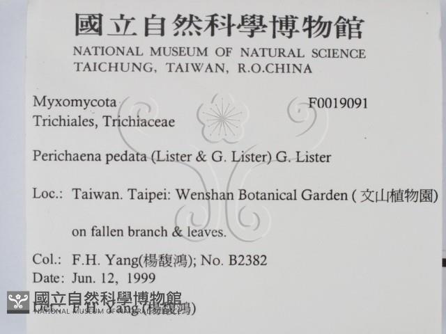 登錄號:F0019091藏品圖，第2張
