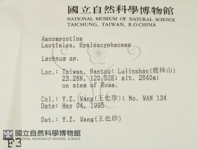 登錄號:F0003091藏品圖，第2張