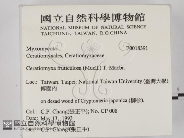 登錄號:F0018391藏品圖，第2張