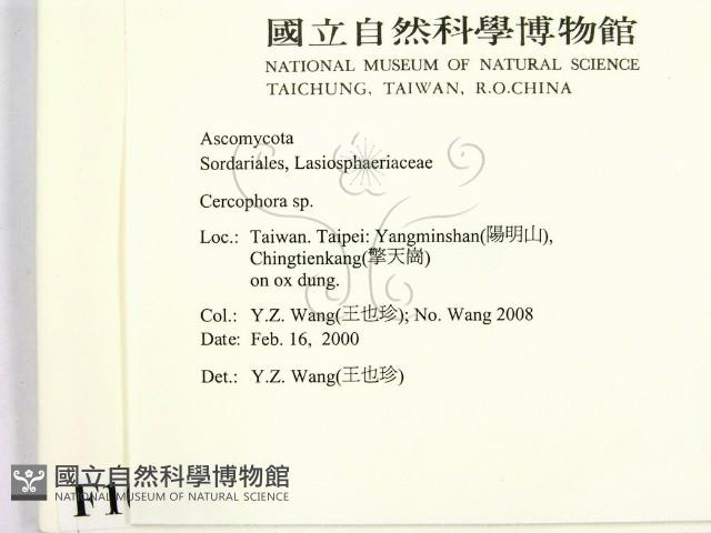 登錄號:F0010391藏品圖，第2張