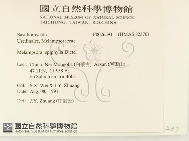 登錄號:F0026391藏品圖，第2張