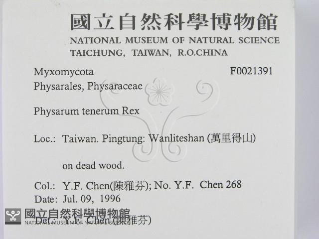 登錄號:F0021391藏品圖，第2張