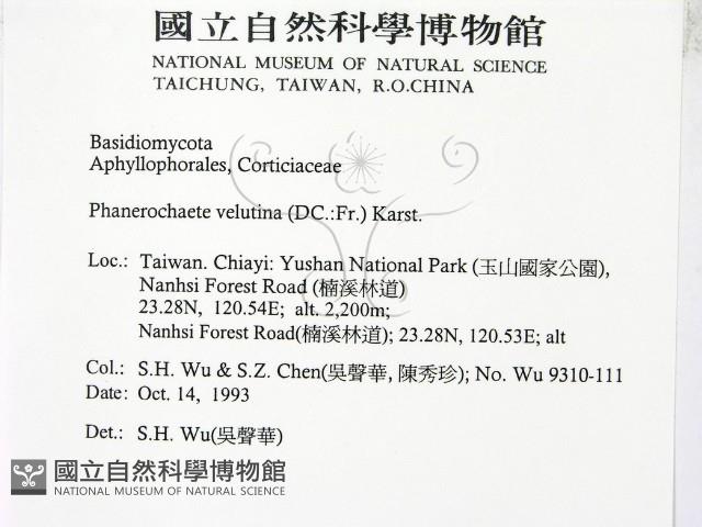 登錄號:F0001391藏品圖，第2張