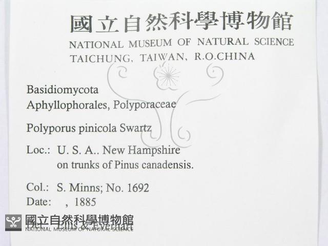 登錄號:F0011391藏品圖，第2張