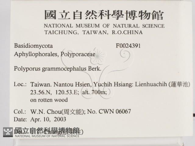 登錄號:F0024391藏品圖，第2張