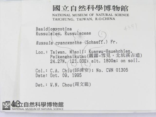 登錄號:F0004391藏品圖，第2張