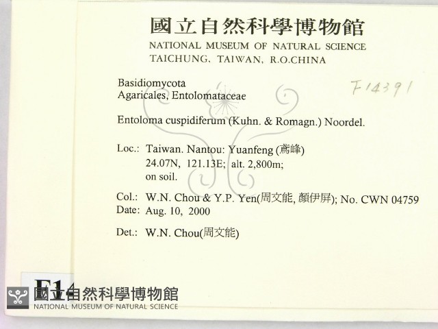 登錄號:F0014391藏品圖，第2張
