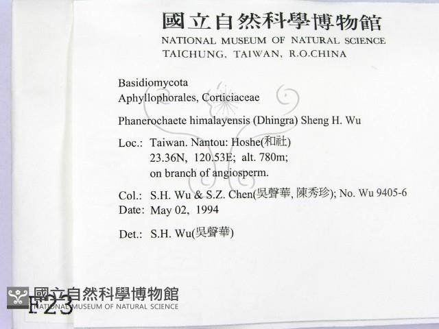 登錄號:F0002391藏品圖，第2張