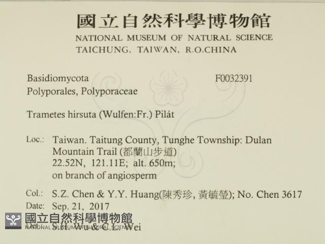 登錄號:F0032391藏品圖，第2張