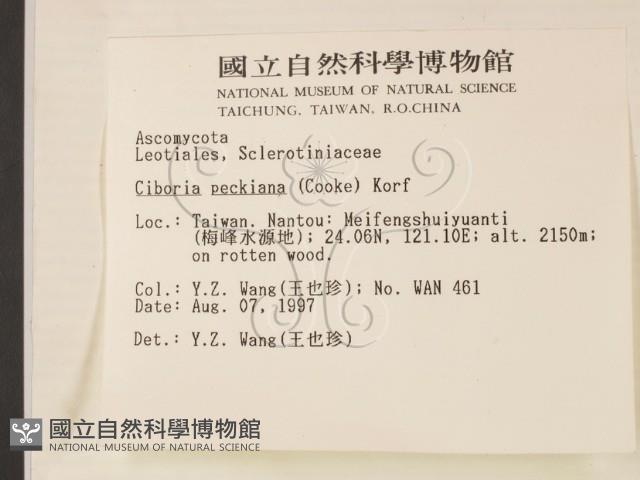登錄號:F0007391藏品圖，第2張