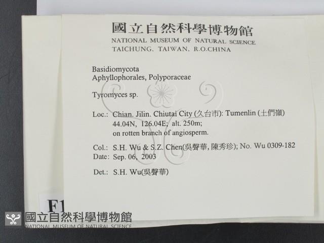 登錄號:F0015391藏品圖，第2張