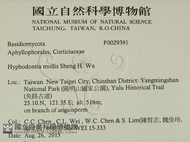 登錄號:F0029391藏品圖，第2張