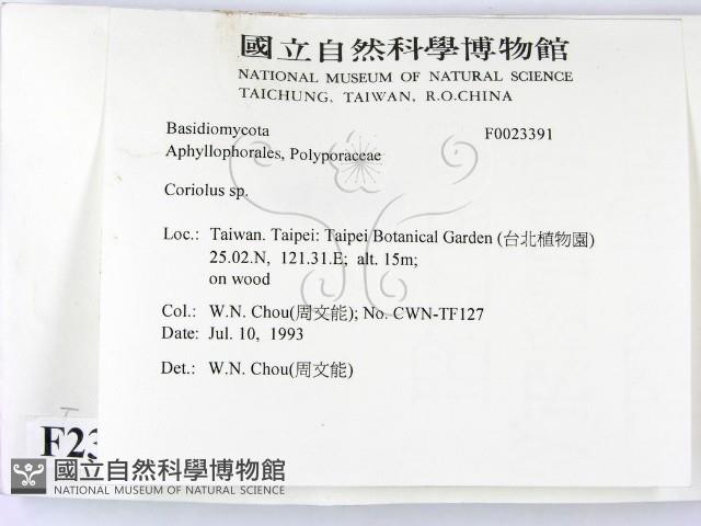 登錄號:F0023391藏品圖，第2張