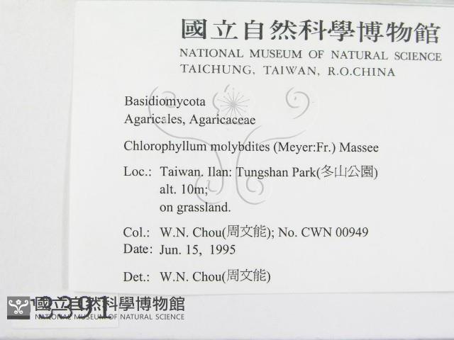 登錄號:F0003391藏品圖，第2張