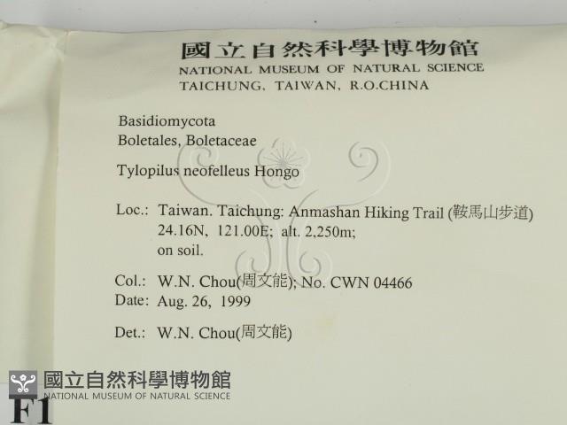登錄號:F0013391藏品圖，第2張