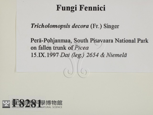 登錄號:F0008281藏品圖，第2張