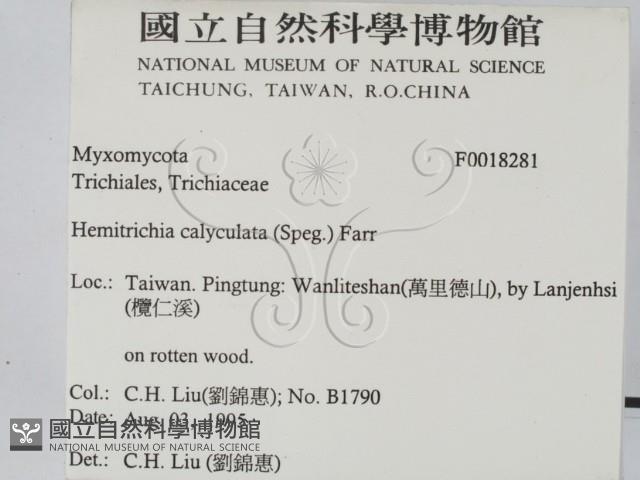 登錄號:F0018281藏品圖，第2張