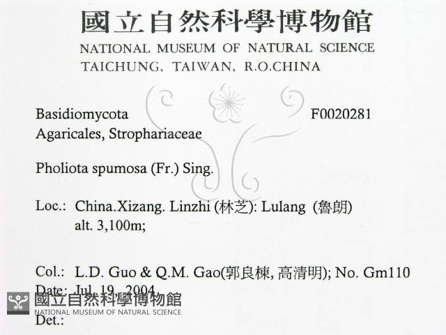 登錄號:F0020281藏品圖，第2張