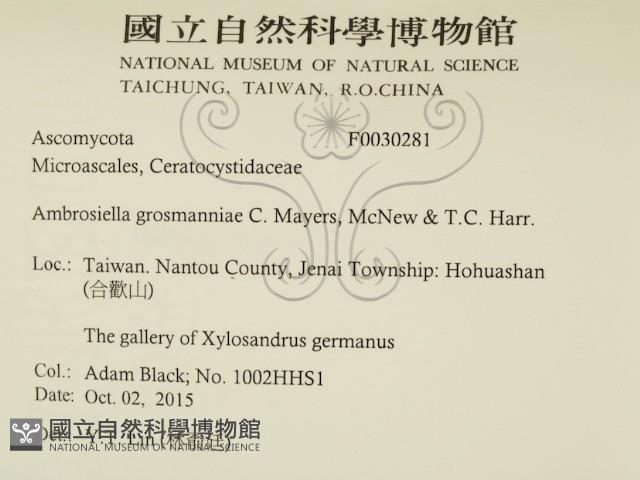 登錄號:F0030281藏品圖，第2張