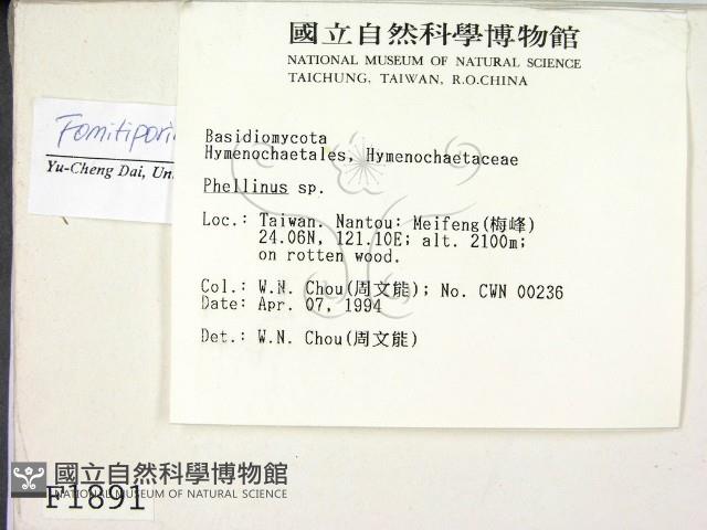 登錄號:F0006281藏品圖，第2張