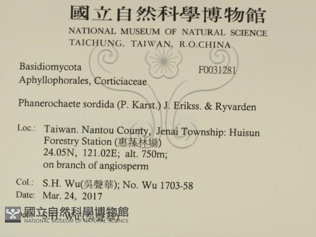 登錄號:F0031281藏品圖，第2張