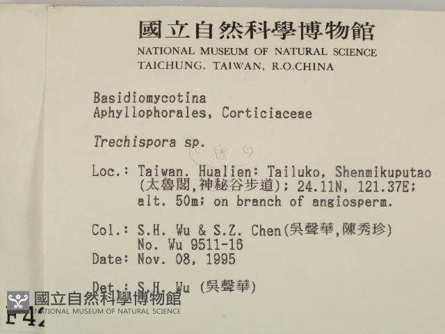 登錄號:F0004281藏品圖，第2張