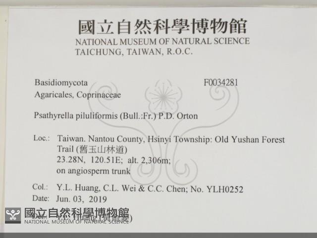 登錄號:F0034281藏品圖，第2張