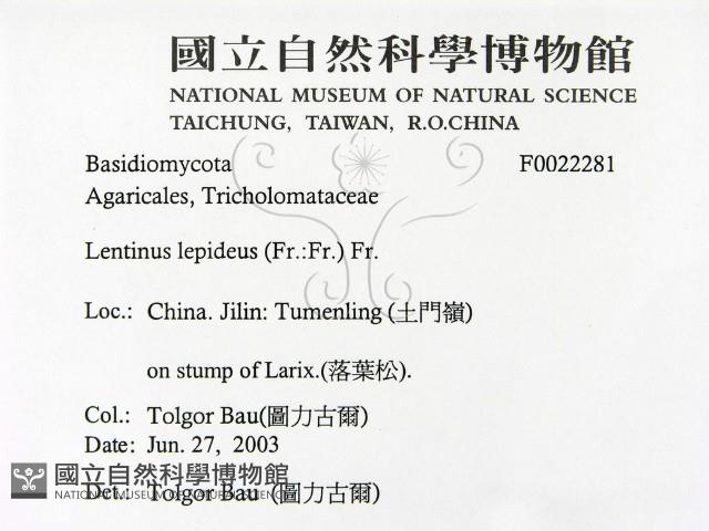 登錄號:F0022281藏品圖，第2張