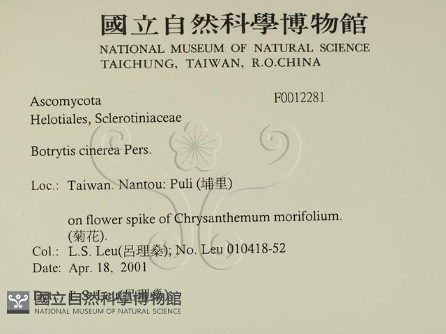 登錄號:F0012281藏品圖，第2張