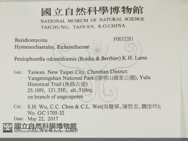 登錄號:F0032281藏品圖，第2張