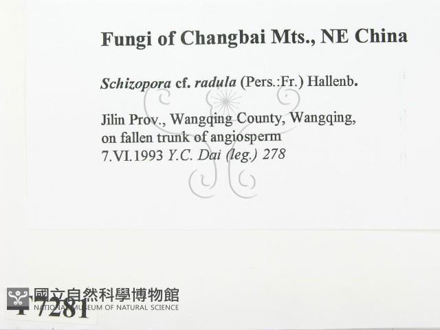 登錄號:F0007281藏品圖，第2張