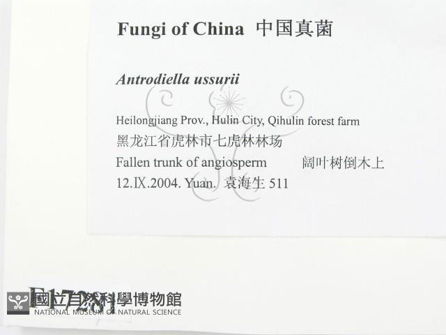 登錄號:F0017281藏品圖，第2張