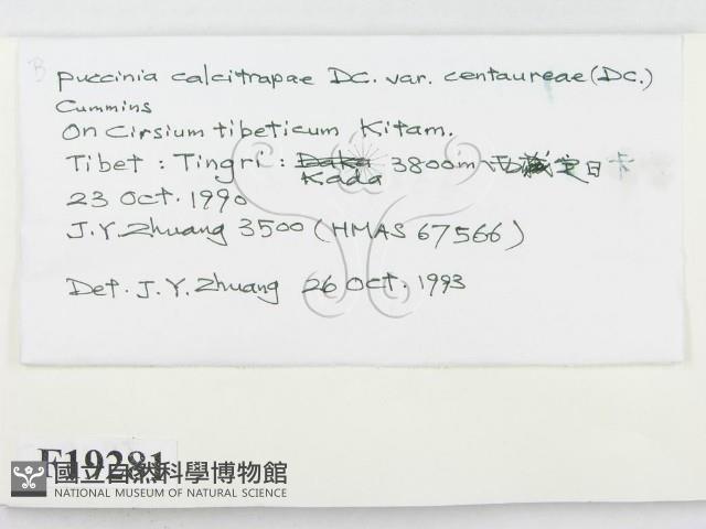 登錄號:F0019281藏品圖，第2張