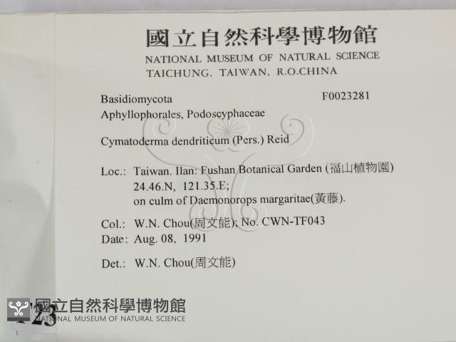 登錄號:F0023281藏品圖，第2張