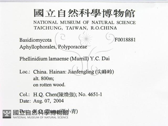 登錄號:F0018881藏品圖，第2張