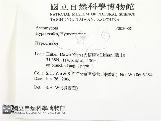 登錄號:F0020881藏品圖，第2張