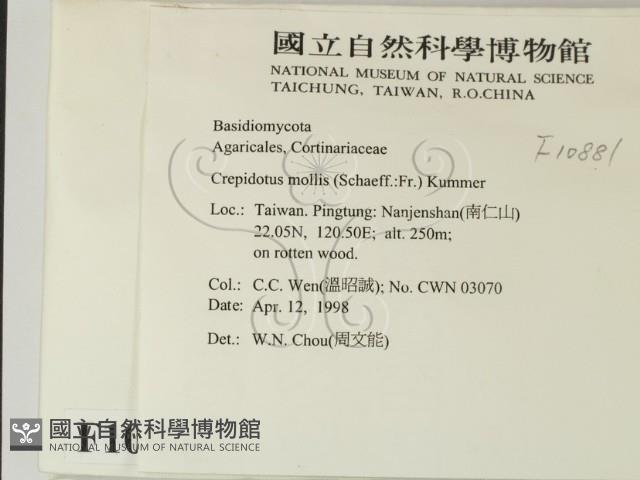 登錄號:F0010881藏品圖，第2張
