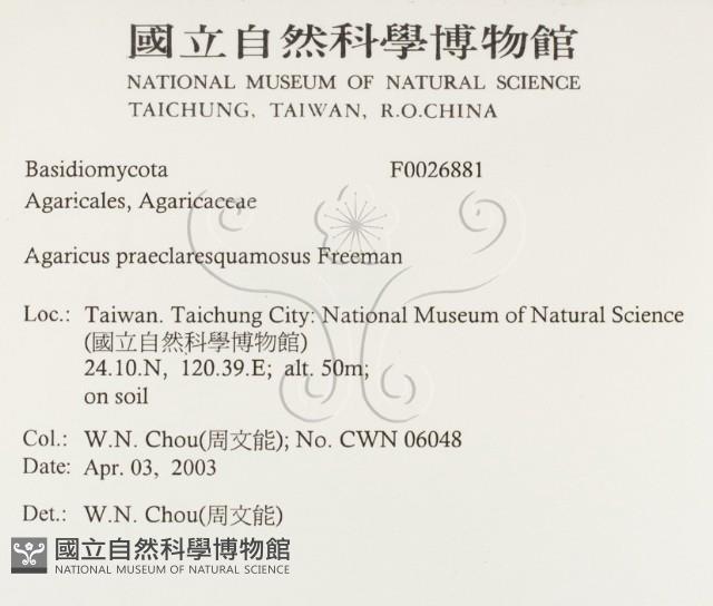 登錄號:F0026881藏品圖，第2張