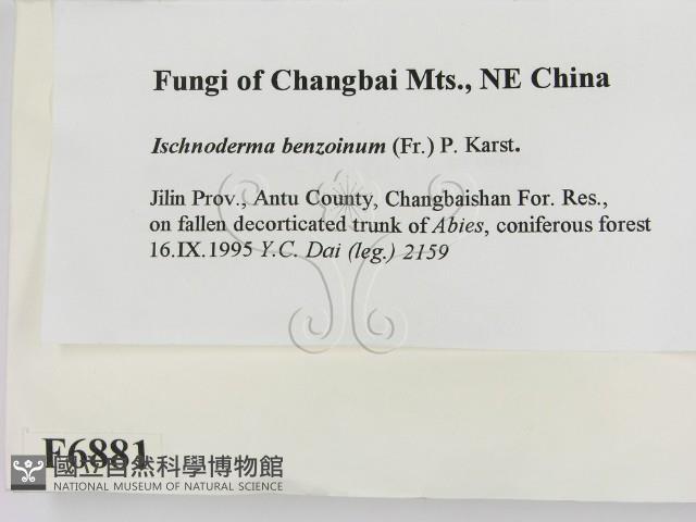 登錄號:F0006881藏品圖，第2張