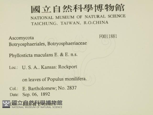 登錄號:F0011881藏品圖，第2張