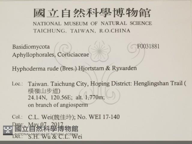登錄號:F0031881藏品圖，第2張