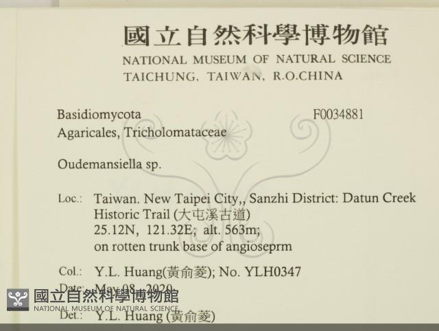 登錄號:F0034881藏品圖，第2張