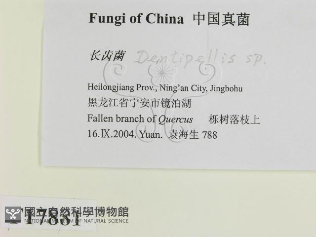 登錄號:F0017881藏品圖，第2張