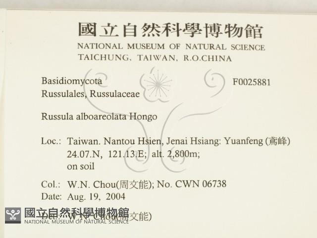 登錄號:F0025881藏品圖，第2張